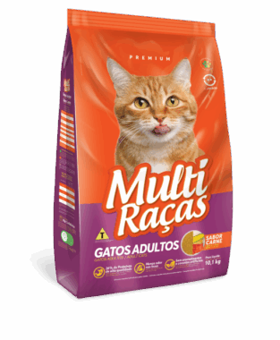 Multirazas Gatos